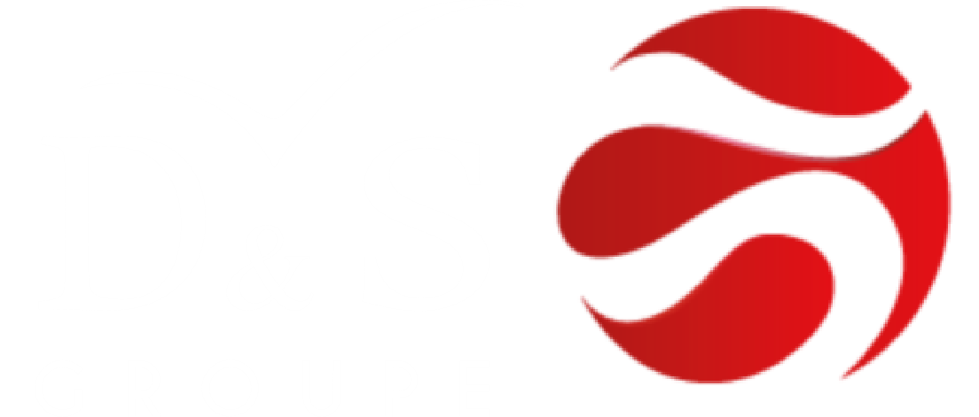 Logo de D&S
